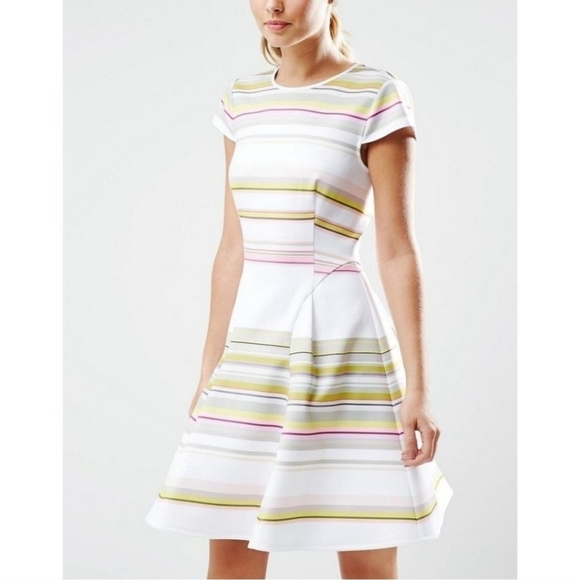 Ted Baker Aquai Skater Dress in Carousel Stripe with Gold Zipper Size 1 - Picture 2 of 14